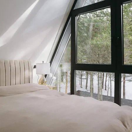 Woodlander Mountain House בקתה *